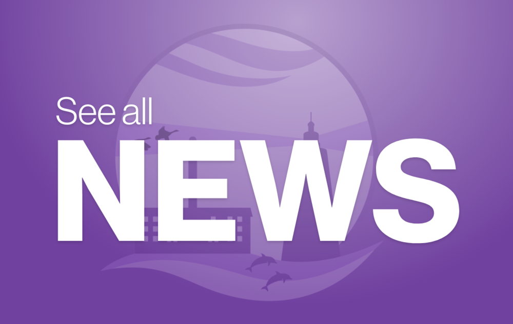 See all news